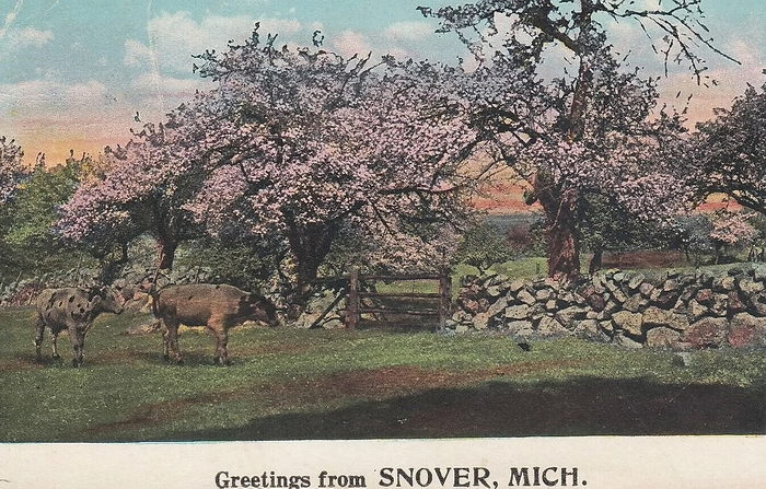Snover - Old Postcard For Snover
